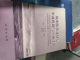 陆相低渗透储层形成机制与区域评价