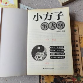 小方子治大病