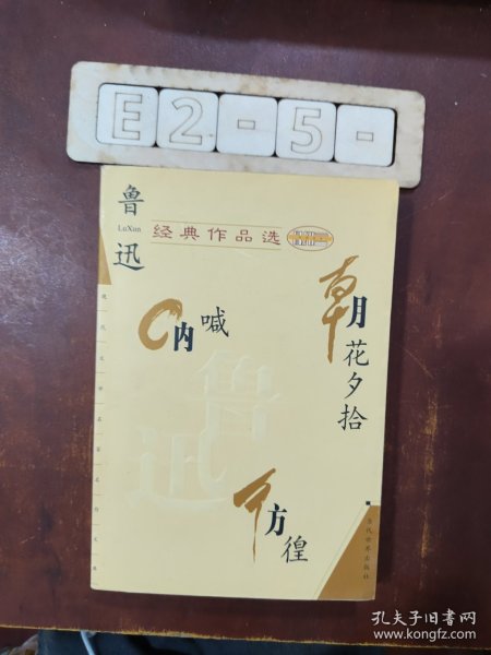 鲁迅经典作品选：现代文学名家名作文库