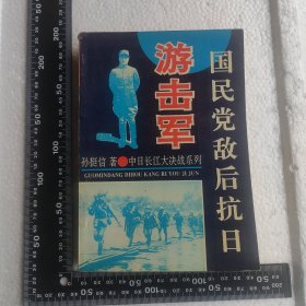 国民党敌后抗日游击军