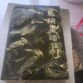 鸟类画谱