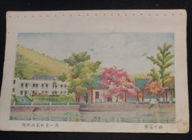 50年代图书插页一张：从化温泉风景一角；红星酱油