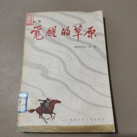 觉醒的草原一《鹰的传奇》第一部 馆藏书