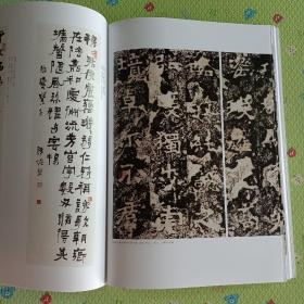 《中华书画家》杂志，爨体书法专题（全书大都是此内容），爨体书法美学刍议，论爨龙颜碑的影响及其当代意义，碑学视野下“二爨”书风的历史意义，“二爨”书法艺术精神，对近代书家师法《爨宝子碑》现象的考察，沈曾植王世镗郑诵先徐悲鸿等名家爨体书法，爨龙颜碑并碑阴拓本（部分），爨宝子碑初出土拓本（部分），爨体兰亭集序，三国两晋时期方笔铭石隶书演变略考，“二爨”书法源流刍议:从“二爨”书法相近铭石书考其书风的形成