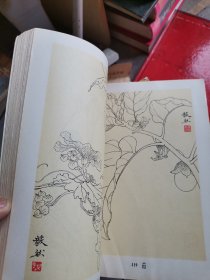 姜毅然白描花卉集