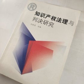 知识产权法理与判决研究
