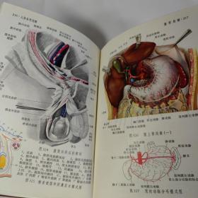 人体解剖图谱1973年