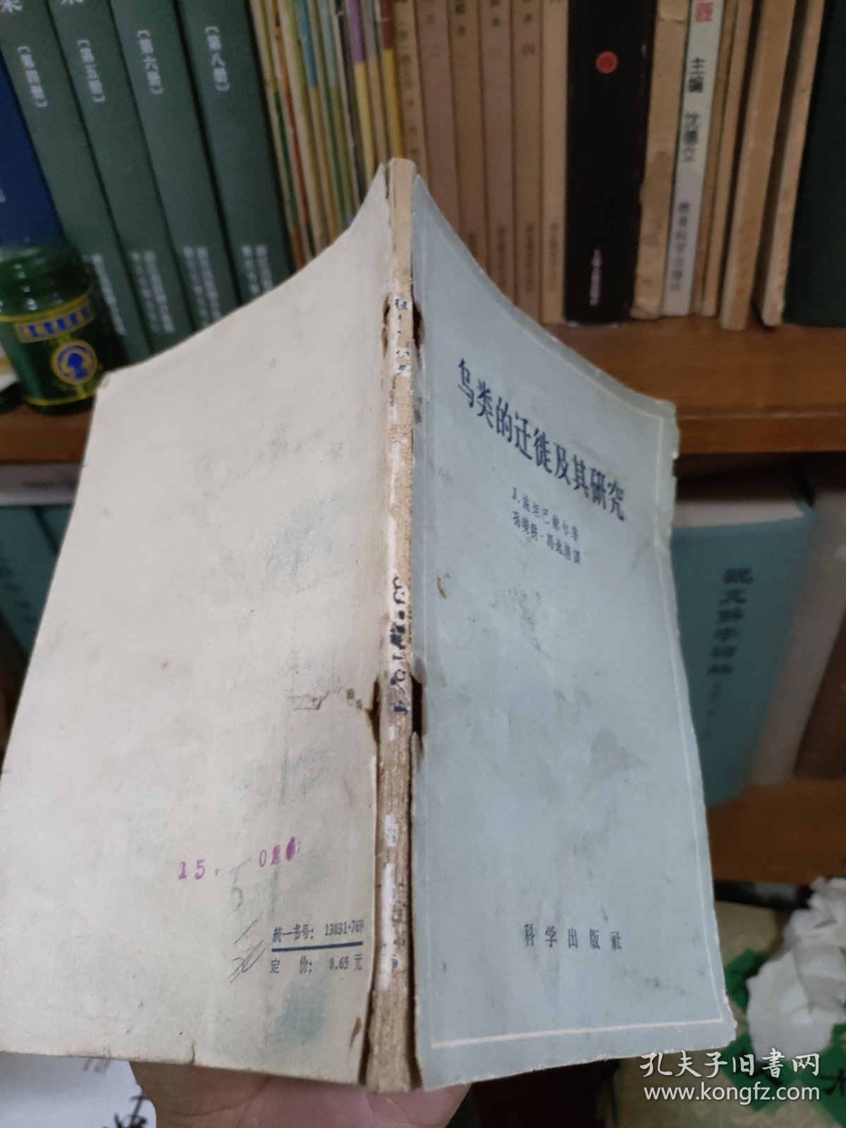 鸟类的迁徙及其研究