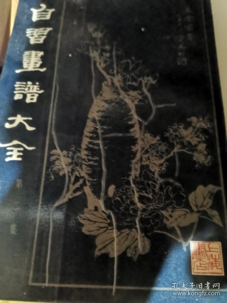 自习画谱大全