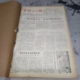 平顶山日报合订本1984年六月