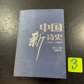 中国新诗史（第二卷）.
