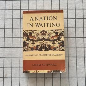 A Nation in Waiting: Indonesia's Search for Stability《等待中的国家:印度尼西亚寻求稳定》