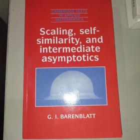 Scaling, Self-similarity, and Intermediate Asymptotics:Dimensional Analysis and Intermediate Asymp