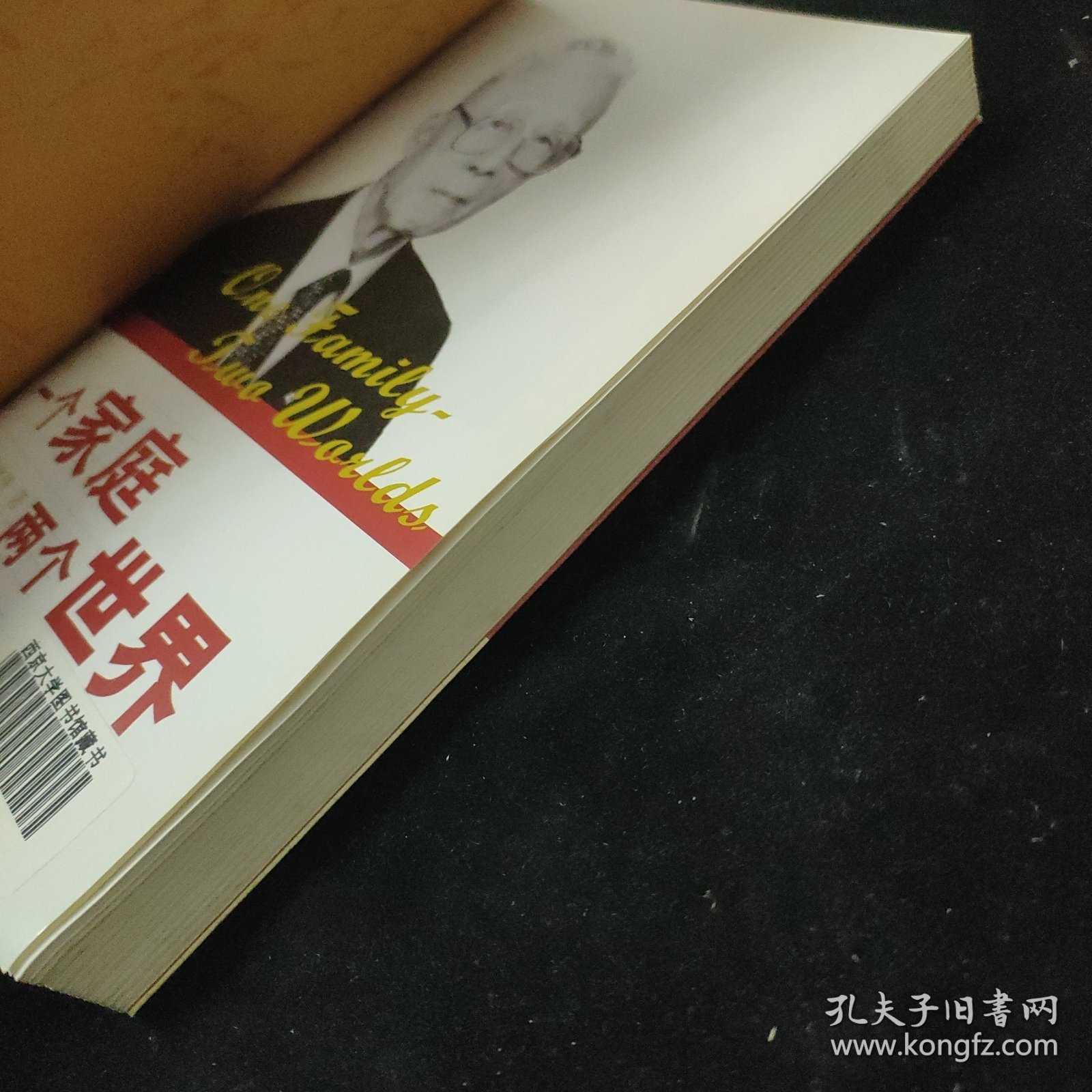 一个家庭 两个世界