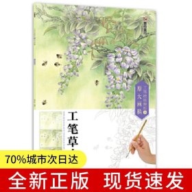 墨點(diǎn)美術(shù)：工筆技法解析與原大畫(huà)稿 工筆草蟲(chóng) 國(guó)畫(huà)技法國(guó)畫(huà)基礎(chǔ)入門(mén)教材