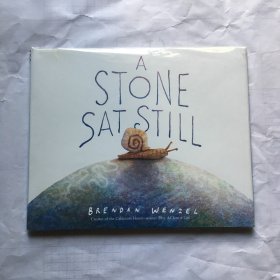 石头静静的坐着 英文原版 布兰登·文策尔 Brendan Wenzel ?   精装绘本  A Stone Sat Still，【凯迪克获奖插画师Brendan Wenzel】一动不动的石头