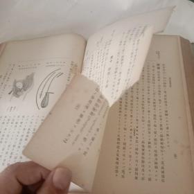 新纂外科各论 第四卷(增订等十二版)