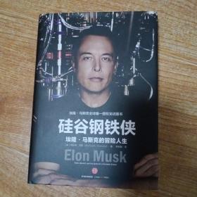 硅谷钢铁侠：埃隆·马斯克的冒险人生