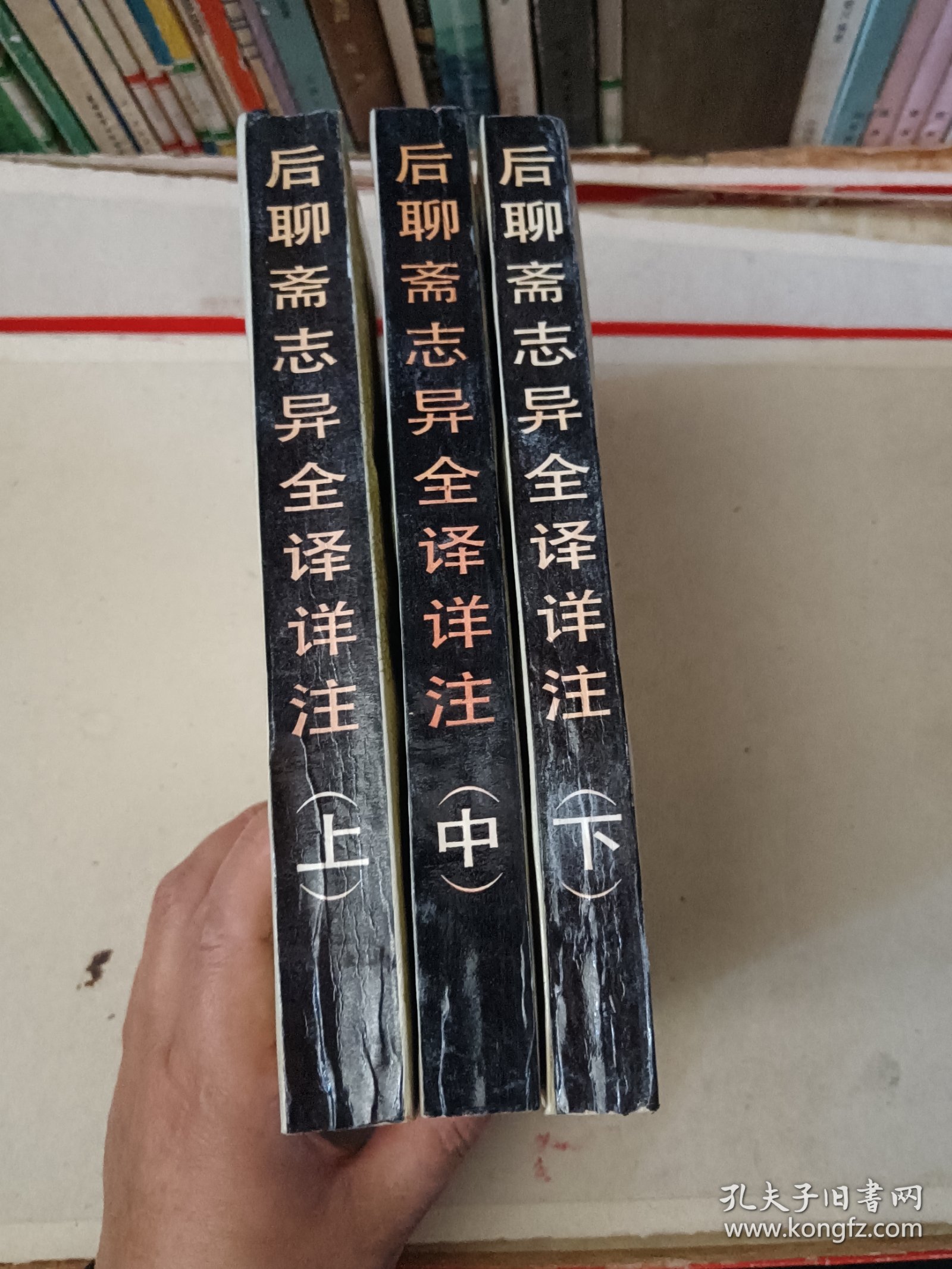 后聊斋志异全译详注