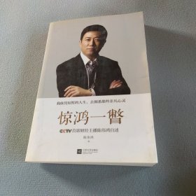 惊鸿一瞥：CCTV首席财经主播陈伟鸿自述