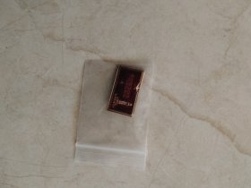 参观瑞金 老像章 小章