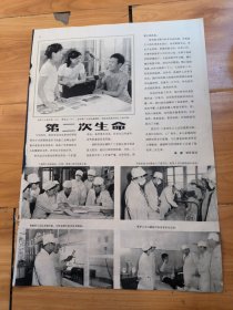 佳木斯市塑料工业公司产品广告 八开