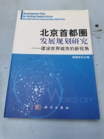 北京首都圈发展规划研究：建设世界城市的新视角