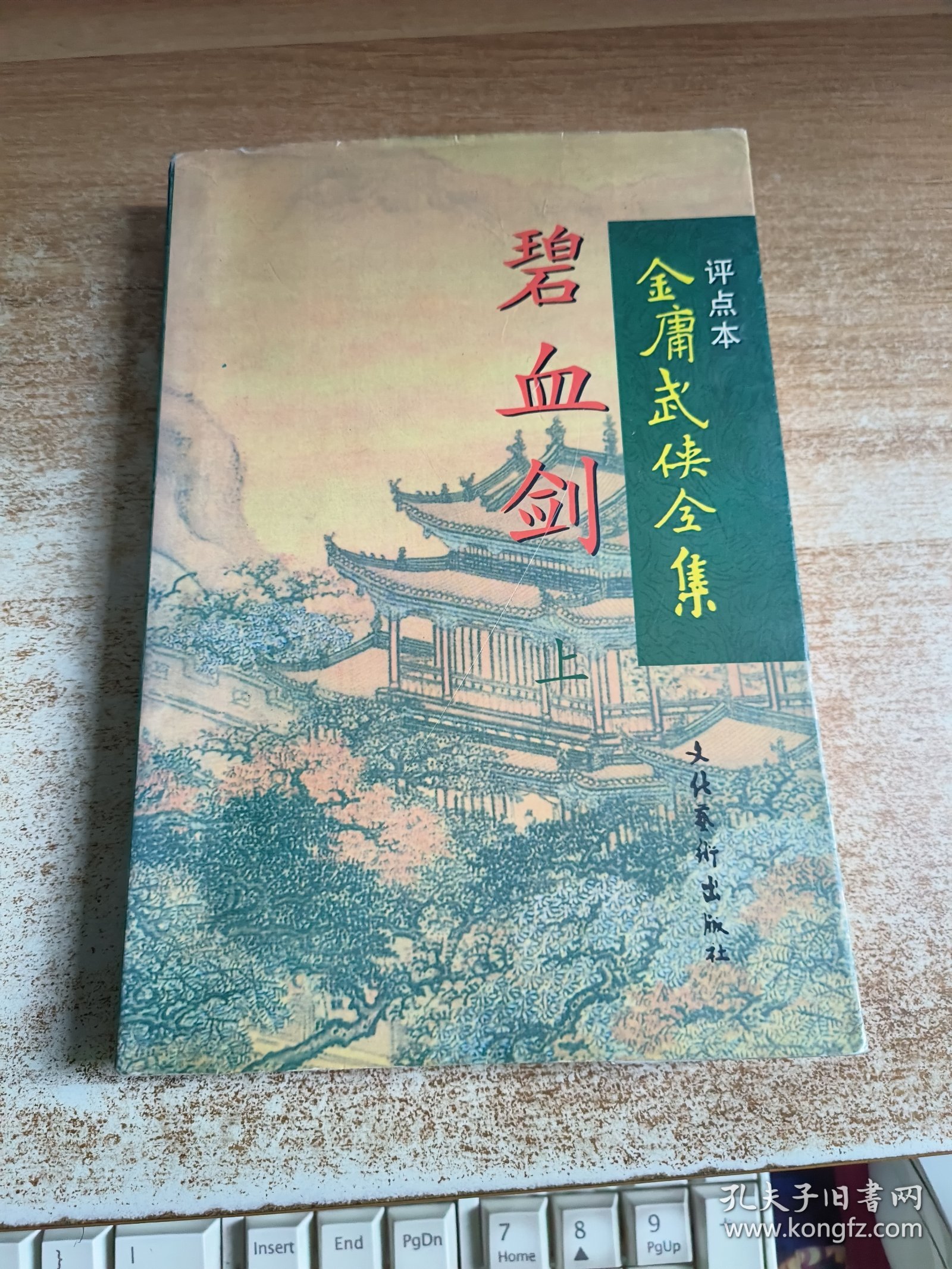 评点本金庸武侠全集 碧血剑 上