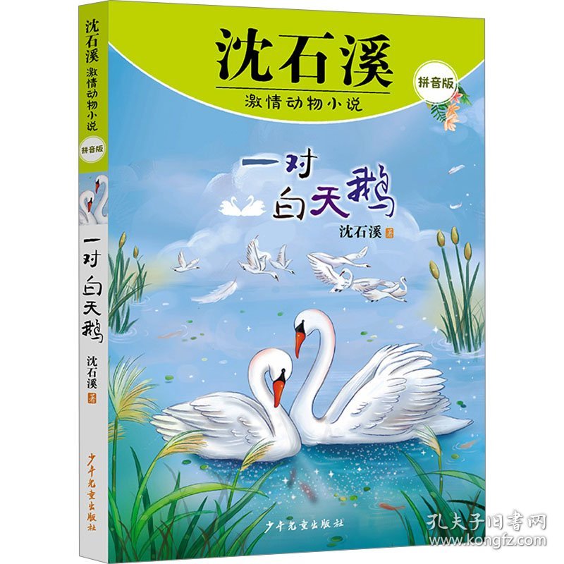 沈石溪激情动物小说拼音版 一对白天鹅 注音读物 沈石溪|