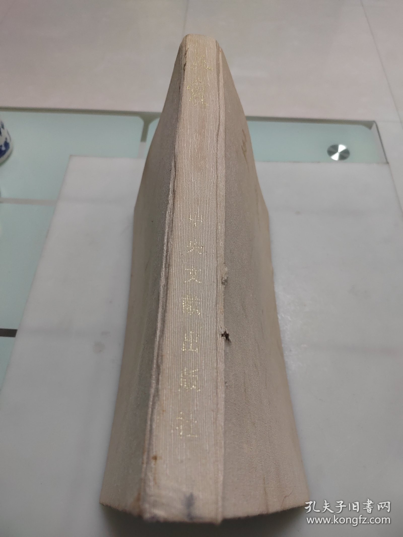 王震（大8开画册）