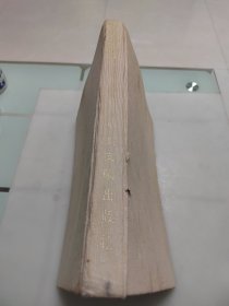 王震(大8开画册)