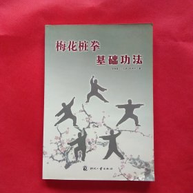 梅花桩拳基础功法