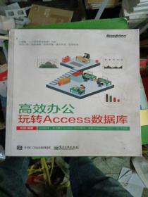 高效办公：玩转Access数据库