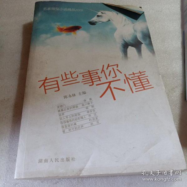 正版实拍：有些事你不懂:名家微型小说精品2009