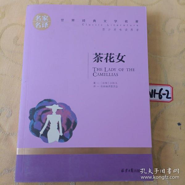 茶花女 中小学生课外阅读书籍世界经典文学名著青少年儿童文学读物故事书名家名译原汁原味读原著