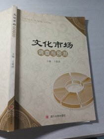 文化市场调查与预测王霜凌9787561479391有一点破损有拍照