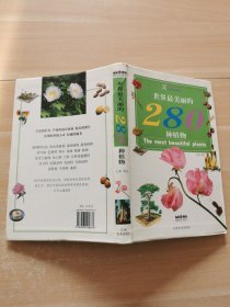 世界最美丽的280种植物