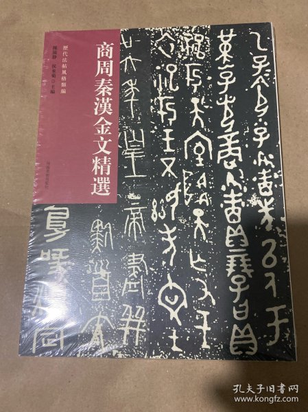 历代法帖风格类编 商周秦汉金文精选