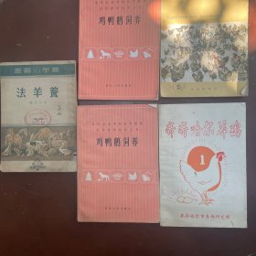 鸡鸭鹅饲养