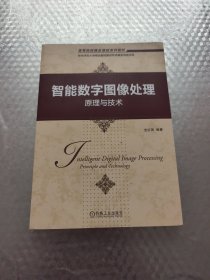 智能数字图像处理：原理与技术