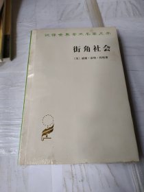 街角社会：一个意大利人贫民区的社会结构