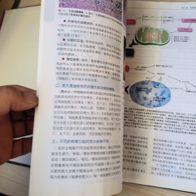 鲁宾病理学精要（中文翻译版 原书第6版）