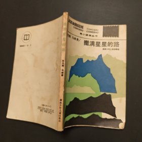 撒满星星的路