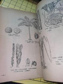 高等植物分类学教学参考图集