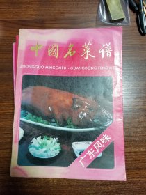 中国名菜谱（广东、湖北、河南风味）