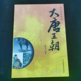 大唐王朝4图文版