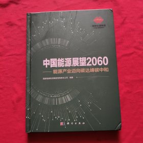 中国能源展望2060——能源产业迈向碳达峰碳中和【精装本】