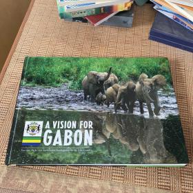 A VISION FOR GABON Tourism, Parks and Sustainable Development in the 21st Century