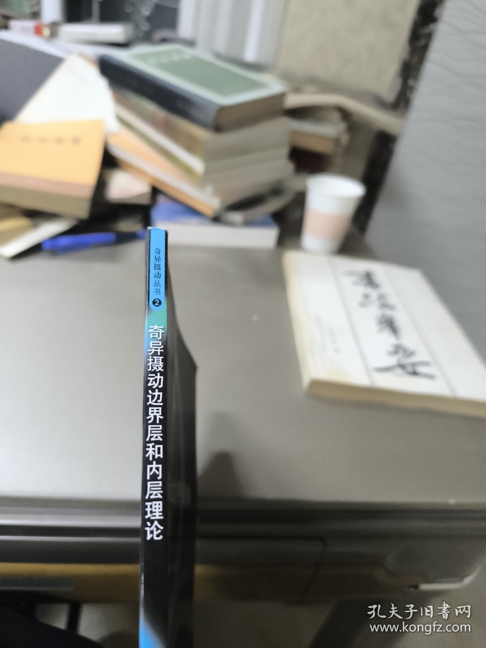 奇异摄动边界层和内层理论