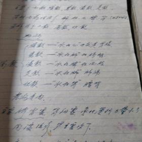 天津中医庞河笔记本 (有一本完全水渍 但不影响阅读 为中医诊断学跟金匮)